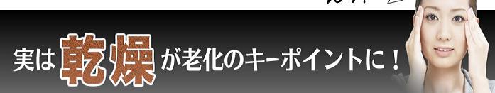 EVOLU GOLD�@����