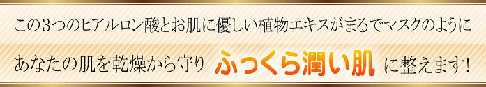 EVOLU GOLD�@����