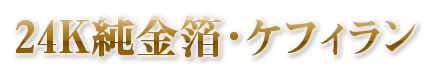 EVOLU GOLD�@����