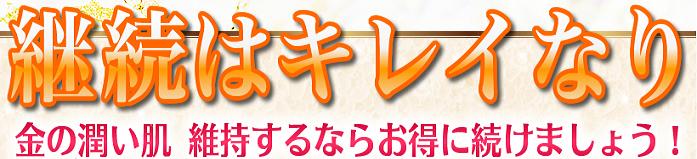 EVOLU GOLD�@����
