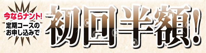 EVOLU GOLD�@����