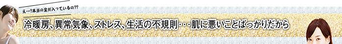 EVOLU GOLD�@����