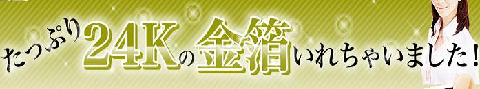 EVOLU GOLD�@����