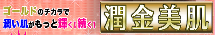 EVOLU GOLD�@����